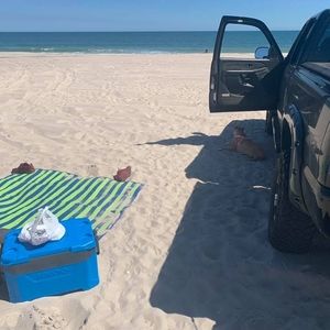 Meet your Posher, Steven